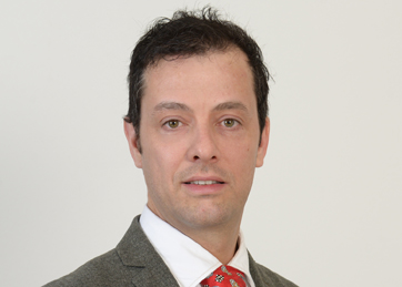 Sandro Scaramella, Wirtschaftsprüfung, Öffentliche Verwaltungen