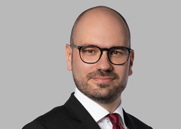 Luis Annoni, Tax and Legal Advice, Partner